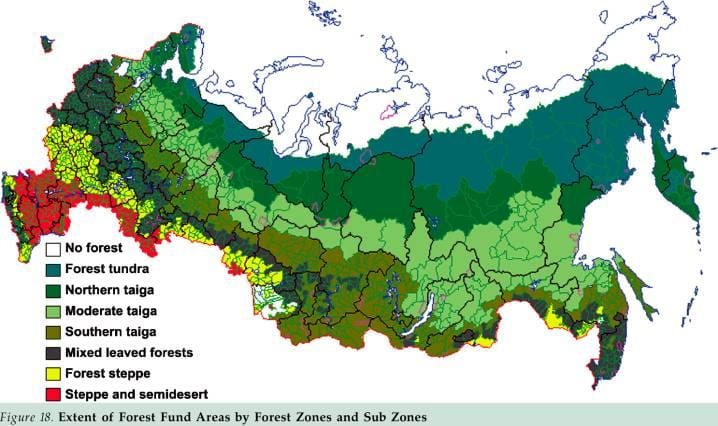 ロシアの森林地図