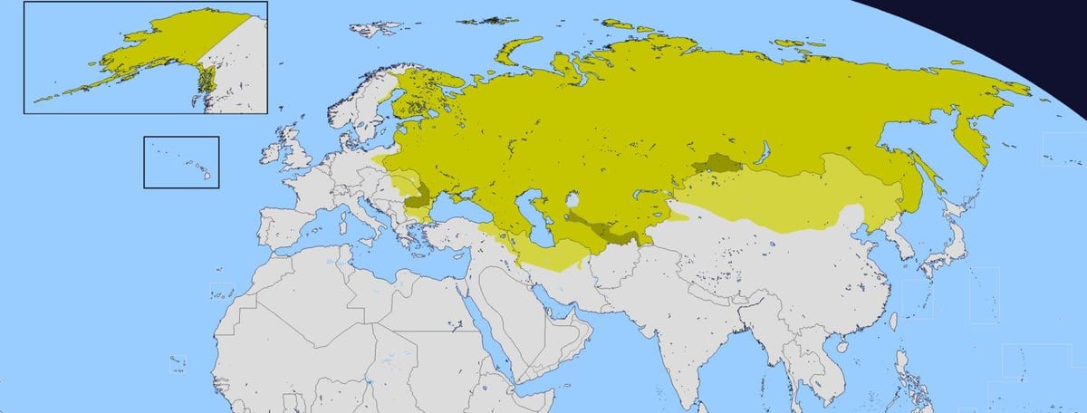 地図のロシア帝国