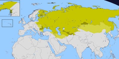 地図のロシア帝国